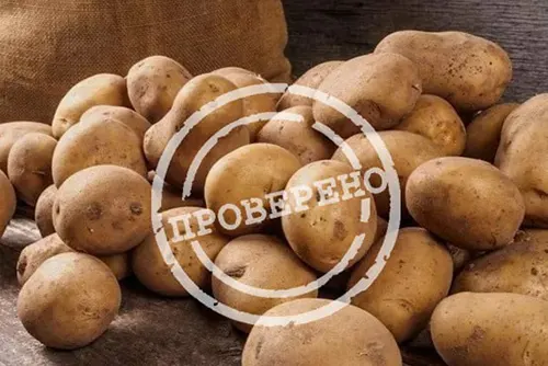 Прошла проверка меморандума – «ПУД» выполняет! 